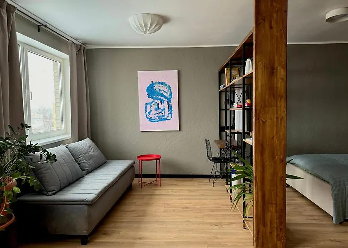 Grey In Apartament *